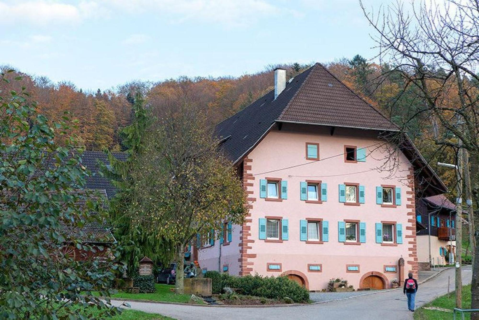 Ziegelhof Διαμέρισμα Schuttertal Εξωτερικό φωτογραφία